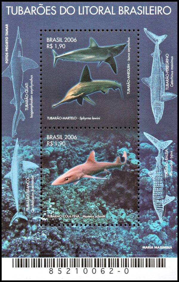 BRASIL/SELLOS, 2006 - FAUNA MARINA - TIBURONES - YV BL 130 - BLOQUE - NUEVO