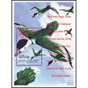MALDIVAS/SELLOS, 1995 - AVES - PATOS - YV BF 316A - BLOQUE - NUEVO
