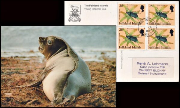 MALVINAS/TARJETAS POSTALES, 1988 – POSTAL ENVIADA A SUISSE - ELEFANTE MARINO