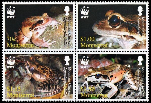 MONTSERRAT/SELLOS, 2006 - W.W.F. - REPTILES - RANAS - YV.1218/21 - 4 VALORES - NUEVO