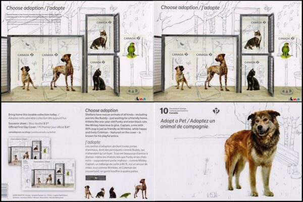 CANADA - SELLOS - AÑO 2013 - ANIMALES DOMESTICOS - PERROS- GATOS - LOROS - YV C 2845 - CARNET AUTOADHESIVO - NUEVO