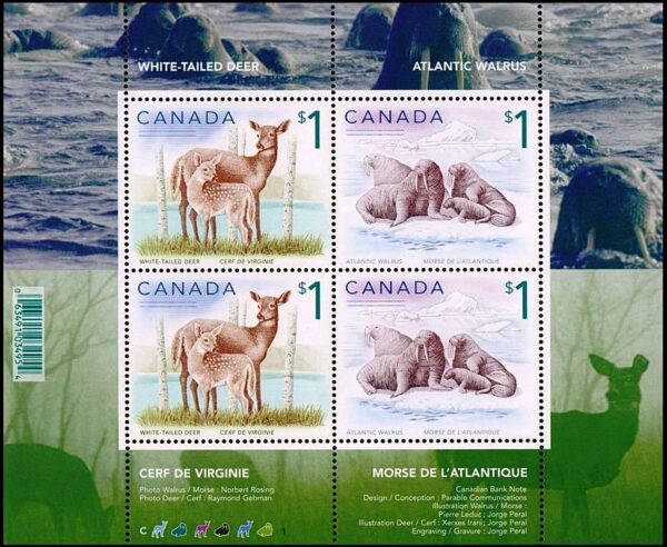 CANADA - SELLOS - AÑO 2005 - FAUNA - CIERVO DE VIRGINIA - MORSAS - YV BF 79 - BLOQUE - NUEVO