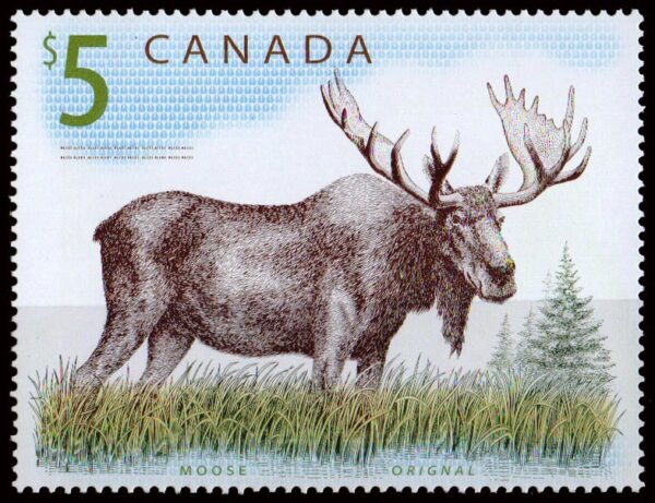 CANADA - SELLOS - AÑO 2003 - FAUNA - ALCE - YV 2047 - 1 VALOR - NUEVO