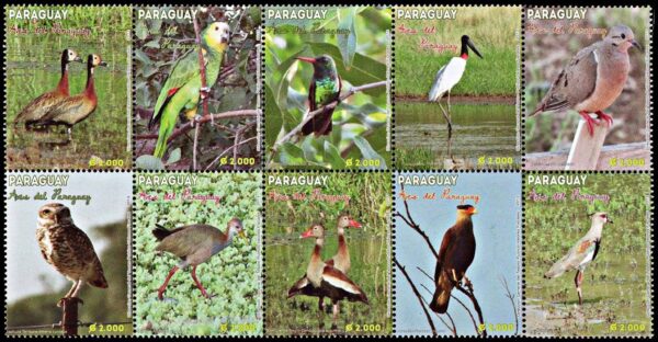 PARAGUAY/SELLOS, 2013 - FAUNA - AVES - YV 3133/37E - 10 VALORES - NUEVO