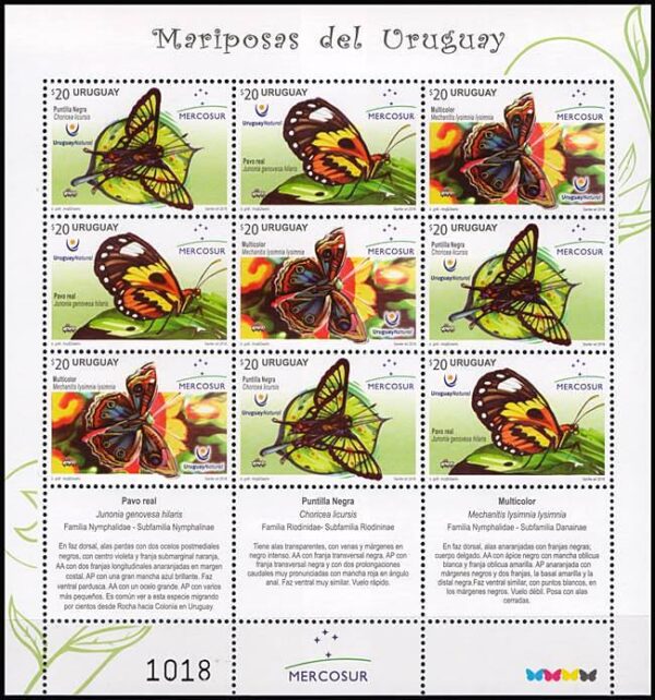 URUGUAY/SELLOS, 2016 - MARIPOSAS - MERCOSUR - HOJITA DE 9 SELLOS - NUEVO