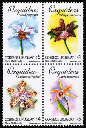 URUGUAY/SELLOS, 1998 - FLORES: ORQUIDEAS - YV 1884/87 - 4 VALORES - NUEVO