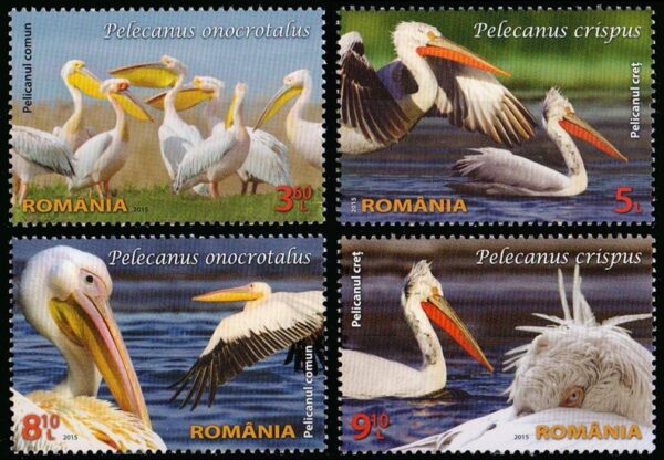 RUMANIA/SELLOS, 2013 - AVES: PELICANOS - YV 5901/04 - 4 VALORES - NUEVO