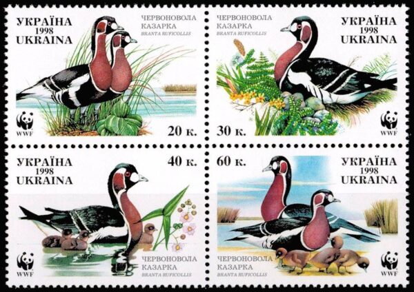 UCRANIA - SELLOS - AÑO 1998 - W.W.F. PROTECCION DE LA NATURALEZA - AVES: BARNACLA CUELLIRROJA - YV 347/50 - 4 VALORES - NUEVO