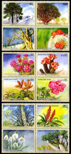 NACIONES UNIDAS (ONU) SELLOS, 2010 - FLORES - ESPECIES EN PELIGRO - YV 1162/65 (NY) 690/93 (G) 649/52 (V) - 12 VALORES - NUEVOS