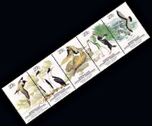 ANTARTIDA AUSTRALIANA/SELLOS, VIDA SALVAJE - FAUNA - YV 55/59 - 5 VALORES - NUEVO