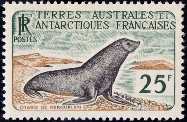 FRENCH ANTARCTIC (T.A.A.F.) STAMPS, 1959 - MARINE MAMMALS - OTARIA - YV 16 - 1 VALUE - MNH