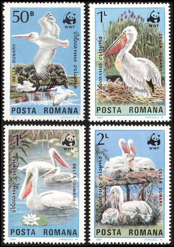 RUMANIA/SELLOS, 1984 - W.W.F. FAUNA PROTEGIDA - PELICANO CE?UDO - YV 3543/46 - 4 VALORES - NUEVO