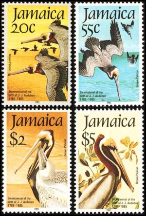 JAMAICA/SELLOS, 1985 - AVES - PELICANOS - YV 616/19 - 4 VALORES - NUEVO