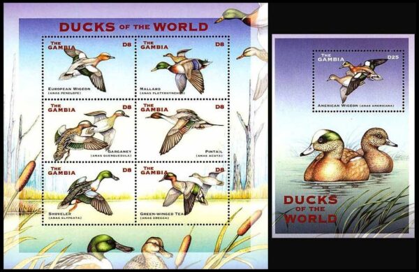 GAMBIA/STAMPS, 2001 - BIRDS - DUCKS OF THE WORLD - YV 3679CF/CL + BF 535H - MINI SHEET -  SOUVENIR SHEET - MNH