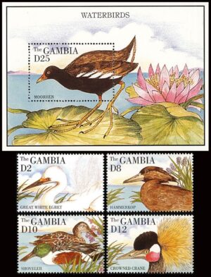 GAMBIA/SELLOS, 1995 - AVES ACUATICAS - PATOS - YV 1787/90 - 4 VALORES + BLQOUE - NUEVO