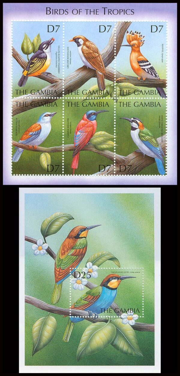 GAMBIA/SELLOS, 2000 - AVES DEL TROPICO - YV 3380/85 + BL 494 - HOJITA + BLOQUE - NUEVO