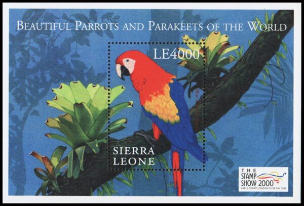 SIERRA LEONA/SELLOS, 2000 - FAUNA - AVES - LOROS - YV BF 435 - BLOQUE - NUEVO