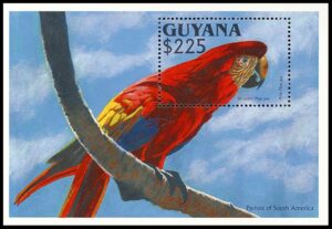 GUYANA/SELLOS, 1993 - AVES - GUACAMAYO - YV BF 116 - BLOQUE - NUEVO
