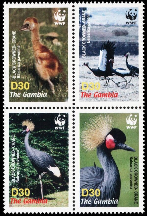 GAMBIA/SELLOS, 2006 - W.W.F. - PROTECCION DE LA FAUNA - LA GRULLA CORONADA - YV 4538/41 - 4 VALORES - MNH