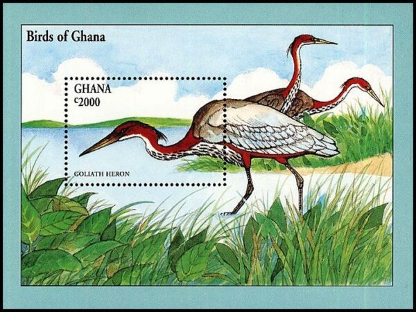 GHANA/SELLOS, 1994 - AVES - GARZAS - YV BF 256 - BLOQUE - NUEVO