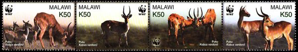 MALAWI/SELLOS, 2003 - W.W.F. FAUNA PROTEGIDA - ANTIILOPE PUKU - YV 713/1 - 4 VALORES - NUEVO