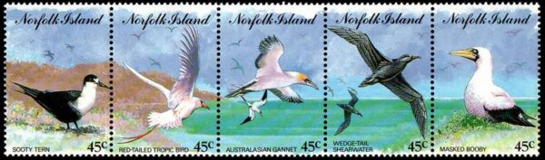 NORFOLK/SELLOS, 1994 - AVES MARINAS - YV 559/63 - 5 VALORES - NUEVO