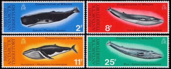 ANTARTIDA BRITANICA (B.A.T.) SELLOS, 1977 - FAUNA MARINA - CETACEOS - BALLENAS - Yv. 64/7 - 4 VALORES, NUEVOS