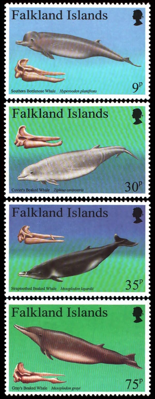 FALKLANDS/STAMPS, 1996 - WHALES & DOLPHINS - YV 685/88 -  4 VALUES - MNH