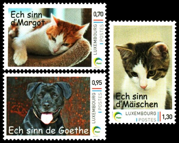 LUXEMBURGO/SELLOS, 2016 - GATOS Y PERROS - YV 2036/39 - 3 VALORES - AUTOADHESIVO - NUEVO