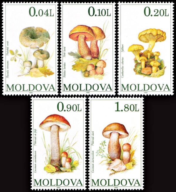 MOLDAVIA/SELLOS, 1995 - HONGOS - YV 124/28 - 5 VALORES- NUEVO