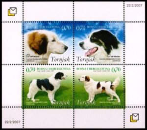 BOSNIA Y HERZEGOVINA (ADM CROATA) SELLOS, 2007 - PERROS - YV 173/76 - BLOQUE - NUEVO