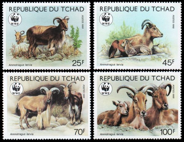 REPUBLICA DE CHAD/SELLOS, 1986 - W.W.F. FAUNA EN PELIGRO - CARNERO DE BERBERIA - YV 507/10 - 4 VALORES - NUEVO