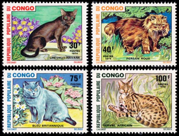 REPUBLICA POPULAR DEL CONGO/SELLOS, 1974 - GATOS - YV 351/54- 4 VALORES - NUEVO