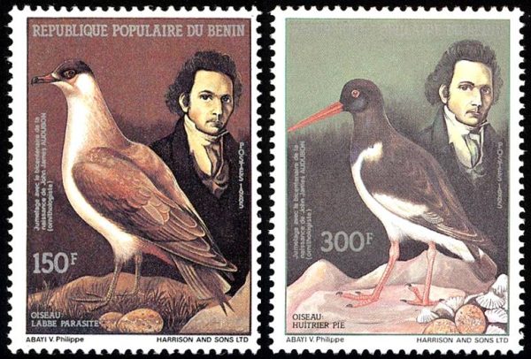 REPUBLICA POPULAR DE BENIN/SELLOS, 1985 - AVES - JEAN J AUDUBON - YV 629/30 - 2 VALORES - NUEVO