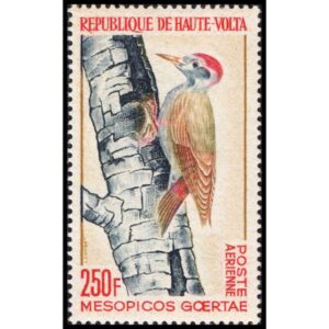 REPUBLIC OF UPPER VOLTA /STAMPS, 1964 - BIRDS - YV A 18 - 1 VALUE - MNH