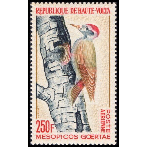 REPUBLIC OF UPPER VOLTA /STAMPS, 1964 - BIRDS - YV A 18 - 1 VALUE - MNH