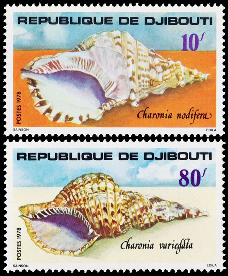 REPUBLICA DE DJIBOUTI/SELLOS, 1978 - CARACOLES - YV 486/87 - 2 VALORES - NUEVO