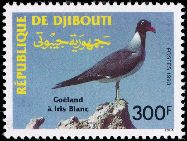 REPUBLICA DE DJIBOUTI/SELLOS, 1993 - FAUNA - AVES - YV 702 - 1 VALOR - NUEVO