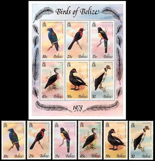 BELIZE/SELLOS, 1978 - AVES DE BELIZE - 398/02 + BL 4 - 6 VALORES + BLOQUE - NUEVO