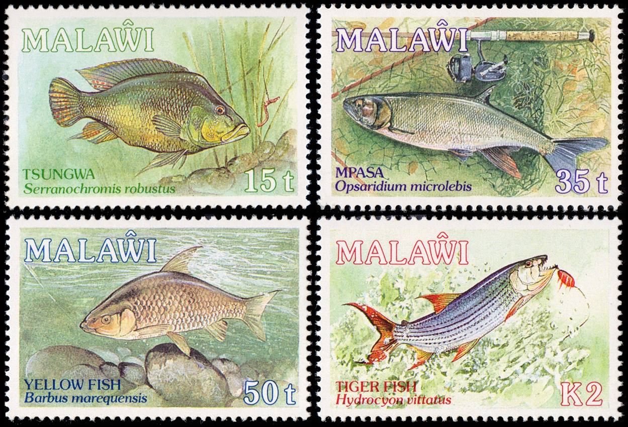 MALAWI/SELLOS, 1989 - FAUNA - PECES - YV 537/40 - 4 VALORES - NUEVO