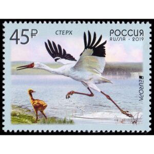 RUSSIA/STAMPS, 2019 - BIRDS - EUROPA - 1 VALUE - MNH