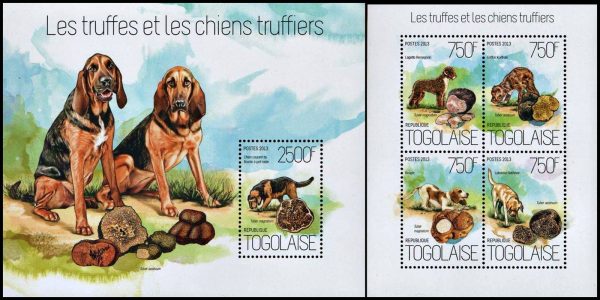 REPUBLICA DE TOGO/SELLOS, 2014 - PERROS - YV 3681/84 - HOJITA + BLOQUE - NUEVO