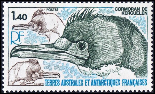 ANTARTIDA FRANCESA (T.A.A.F.) 1978  - AVES ANTARTICAS - CORMARAN - YV 78 - 1 VALOR - NUEVO