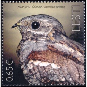 ESTONIA/SELLOS, 2019 - FAUNA - AVES - 1 VALOR - NUEVO