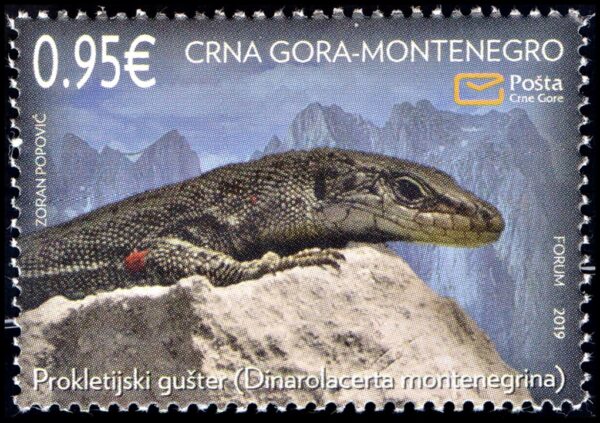 MONTENEGRO/SELLOS, 2019 - FAUNA - REPTILES -  YV 429 - 1 VALOR - NUEVO