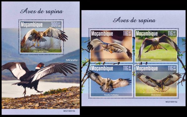 MOZAMBIQUE/SELLOS, 2020 - AVES DE PRESA - CONDOR - HOJITA + BLOQUE - NUEVO