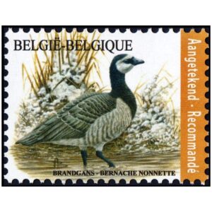 BELGICA/SELLOS, 2020 - AVES - SERIE ORDINARIA - 1 VALOR - NUEVO