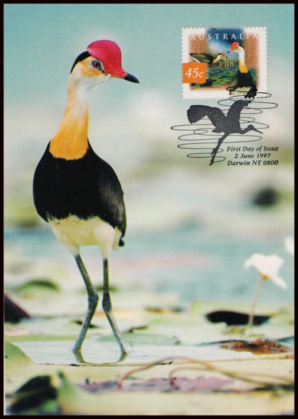 AUSTRALIA/MAXIMA CARDS, 1997 – BIRDS – CRESTED JACANA - YV 1596 – 1 VALUE – CARD