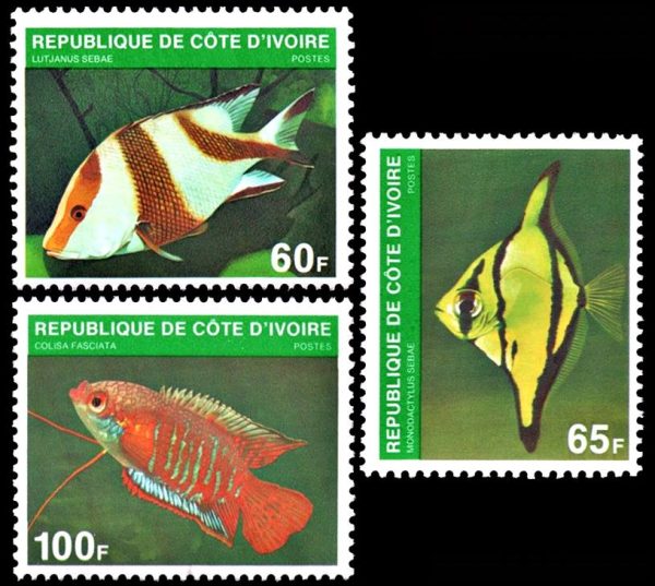 COSTA DE MARFIL/SELLOS, 1980 - FAUNA MARINA - PECES - YV 544/46 - 3 VALUES - NUEVO