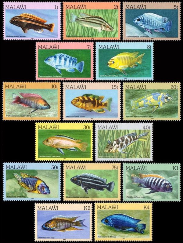 MALAWI/SELLOS, PECES - YV 413/27 - 15 VALORES - NUEVO